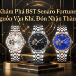 Khám Phá BST Senaro Fortune: Khơi Nguồn Vận Khí, Đón Nhận Thành Công